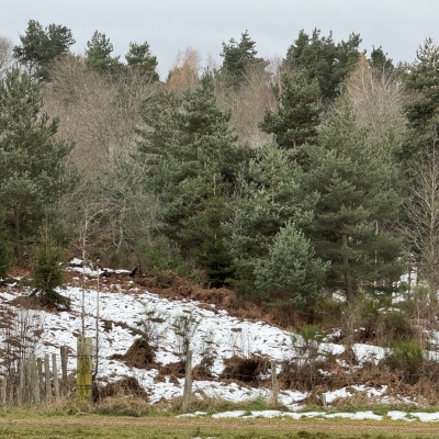 J6 MONTVERDUN - BELLEVEU LA MONTAGNE