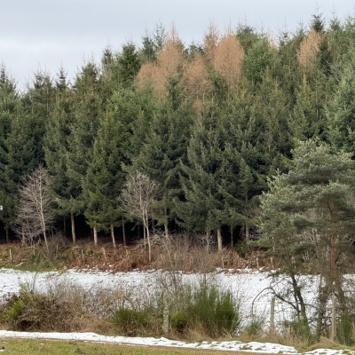 J6 MONTVERDUN - BELLEVEU LA MONTAGNE