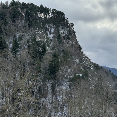 J7 BELLEVUE LA MONTAGNE- SAUGUES