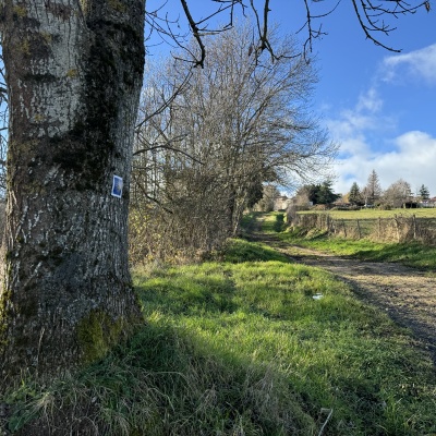 J6 MONTVERDUN - BELLEVEU LA MONTAGNE