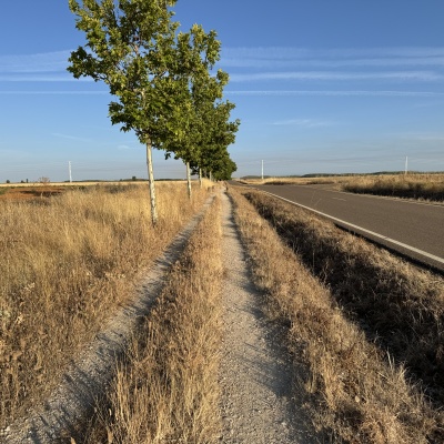 Bercianos del Real Camino - Manssila de las Mulas J77