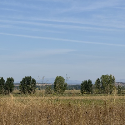 Bercianos del Real Camino - Manssila de las Mulas J77