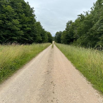 St Jean de Losne-Abbaye de Citeaux J9