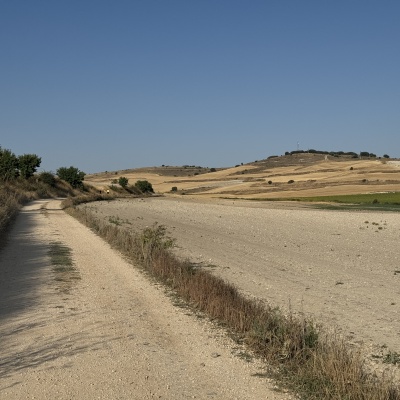  Rabé de L’as Calzadas - CastrojerizJè J73