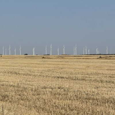  Rabé de L’as Calzadas - CastrojerizJè J73