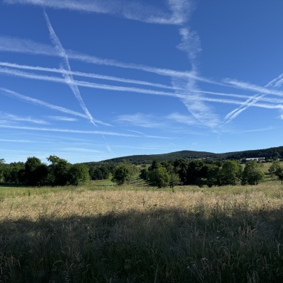 Le Sauvage-Aumont d'Aubrac j 31