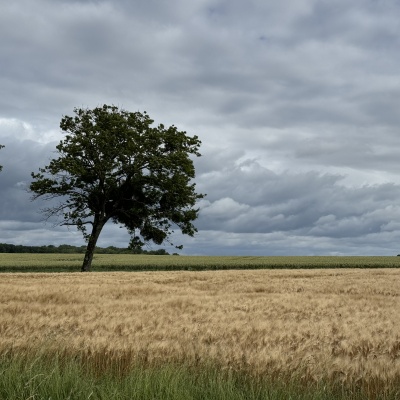 Mont Roland-ST Jean de Losne  J8