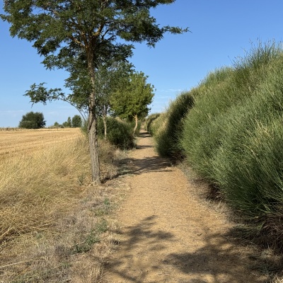 Calzadilla  -  Bercianos del Real Camino J76