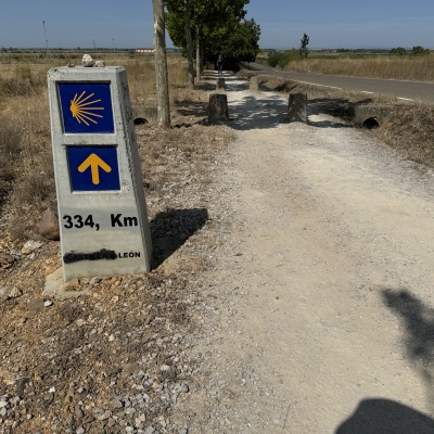 Bercianos del Real Camino - Manssila de las Mulas J77