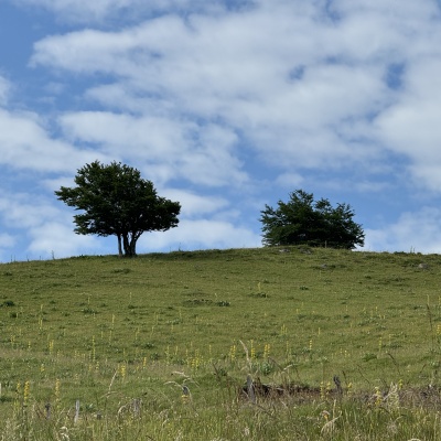 Nasbinal - St Chély d'Aubrac J33