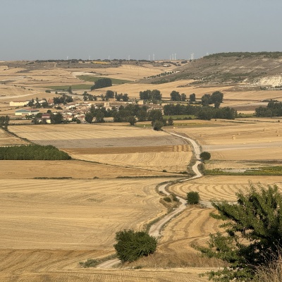  Rabé de L’as Calzadas - CastrojerizJè J73