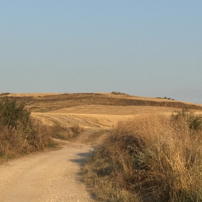  Rabé de L’as Calzadas - CastrojerizJè J73