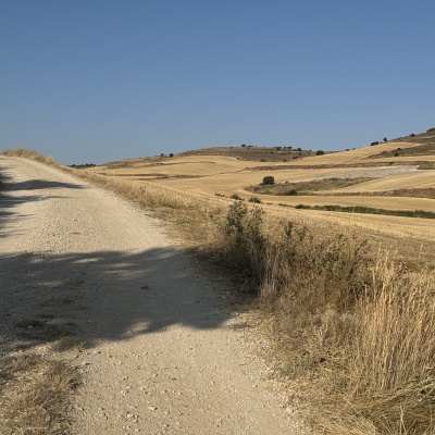  Rabé de L’as Calzadas - CastrojerizJè J73