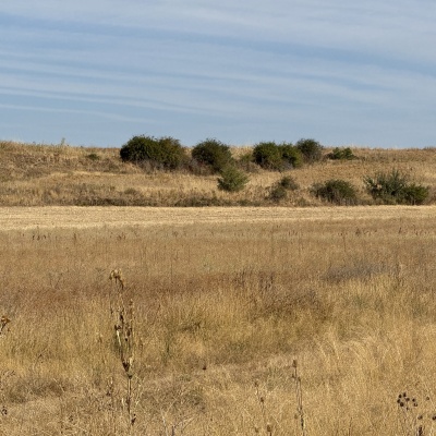 Bercianos del Real Camino - Manssila de las Mulas J77