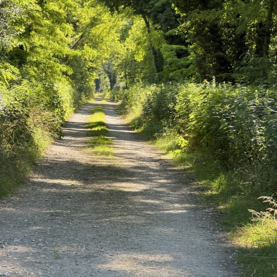 Marnay-Abbaye d'Acey J6