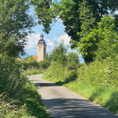 Naoilly-Saint André d'Achon J19