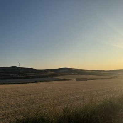  Rabé de L’as Calzadas - CastrojerizJè J73