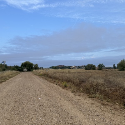 Mansilla de Las Mulas à La Virgen del Camino J78