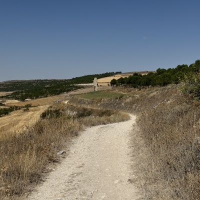  Rabé de L’as Calzadas - CastrojerizJè J73