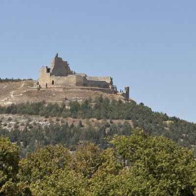  Rabé de L’as Calzadas - CastrojerizJè J73