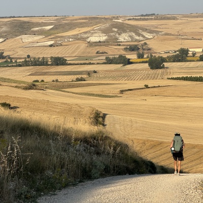  Rabé de L’as Calzadas - CastrojerizJè J73