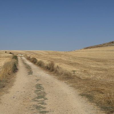  Rabé de L’as Calzadas - CastrojerizJè J73