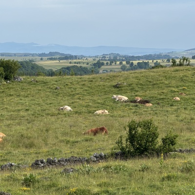 Nasbinal - St Chély d'Aubrac J33