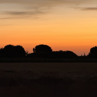 Bercianos del Real Camino - Manssila de las Mulas J77