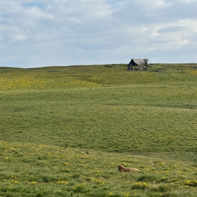 Nasbinal - St Chély d'Aubrac J33