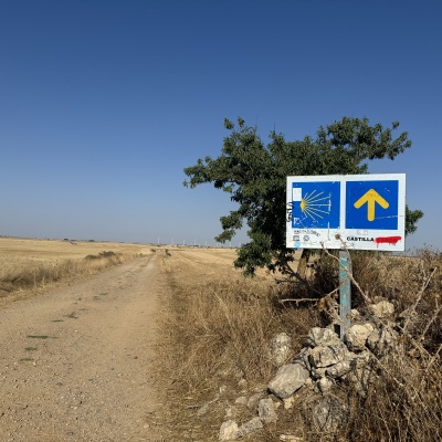  Rabé de L’as Calzadas - CastrojerizJè J73