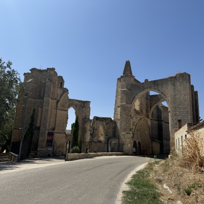  Rabé de L’as Calzadas - CastrojerizJè J73