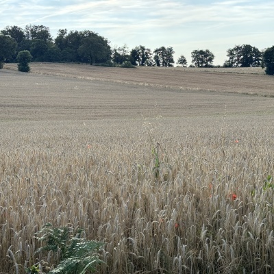 Peyrusse-Villeneuve d'Aveyron-Villefrance de Rouergue J39